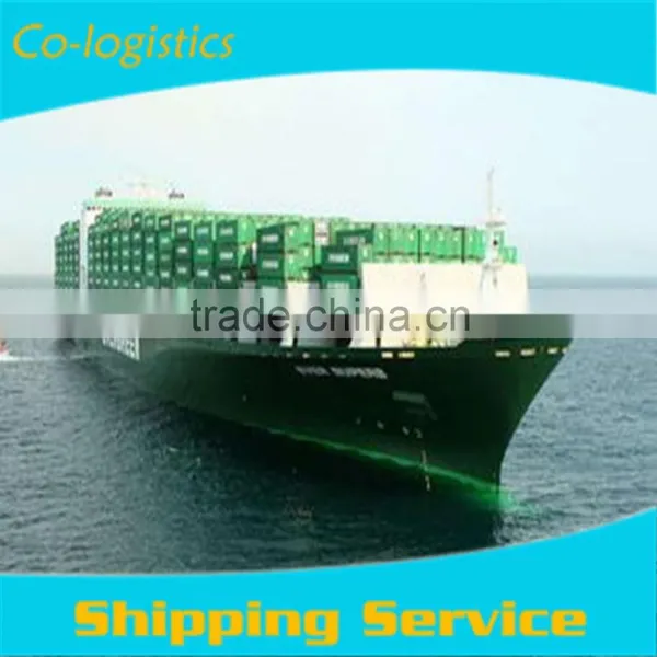 Consolidated Shanghai Ningbo Sea Freight Forwarder International Logistics Solution Provider