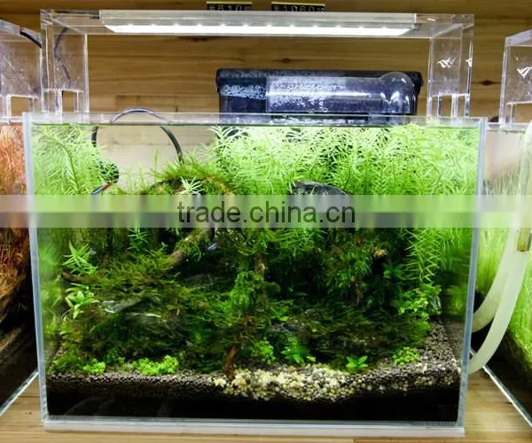 Distributors Wanted Chihiros Aquarium Lighting Led System 329-1251 photo-5
