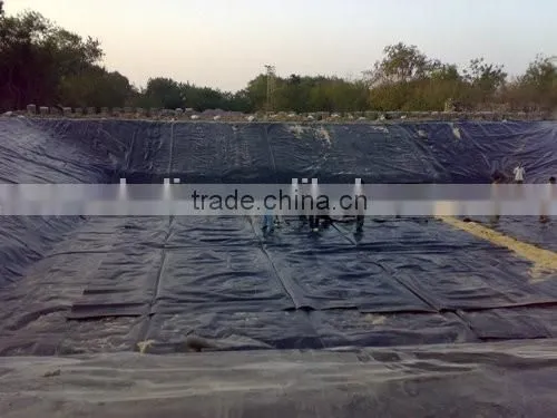 HDPE Waterproof Geomembrane/liner/sheet photo-3