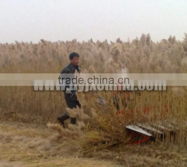 Whoelsale Reaper, Harvester, Rice, Wheat, Soy Bean, Corn, Grain Harvester photo-2
