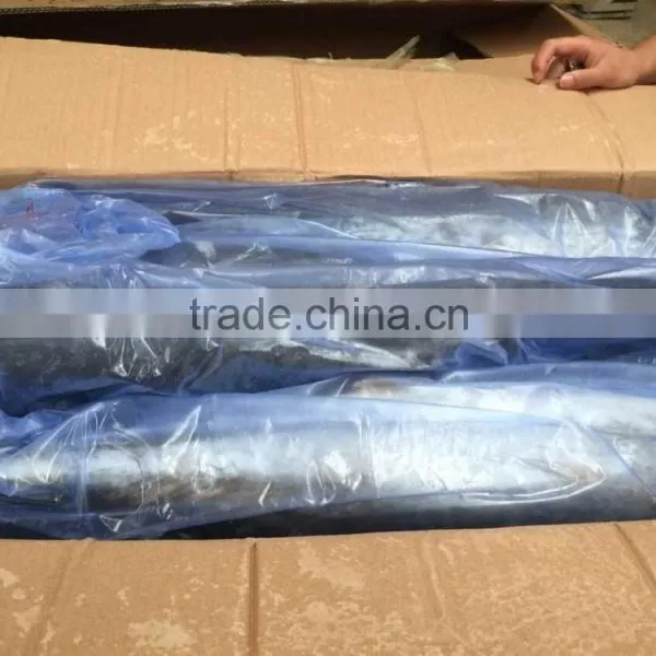Best Quality Spanish Mackerel Frozen On Board photo-4
