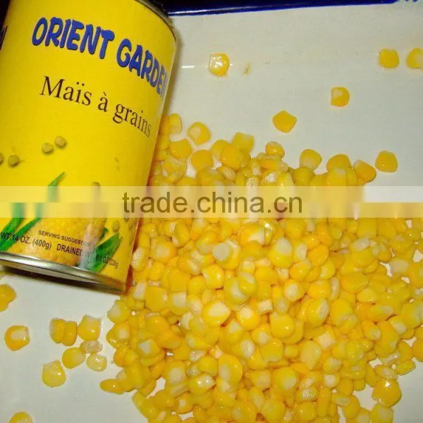 Canned Sweet Corn Kenels Kenel Fruit Vegetable Supplier for Russia photo-3