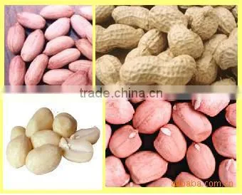 High Demand Export Products Wholesale Peanuts Raw Peanuts Price and Blanched Peanuts Kernel photo-3