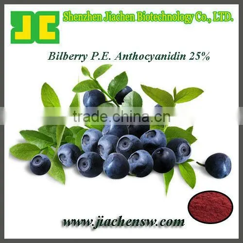 Supply Bilberry P.E. With Anthocyanidin 25%, High Quality & In Stock
