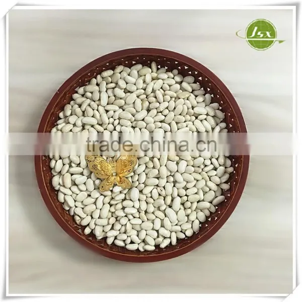 JSX Long Shape White Kidney Beans Food Trade Export photo-3