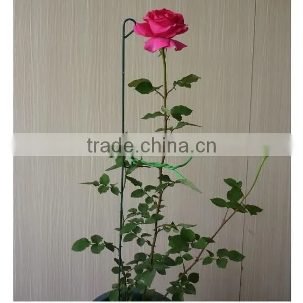 Metal Plant Support Loop Stake Stick photo-5