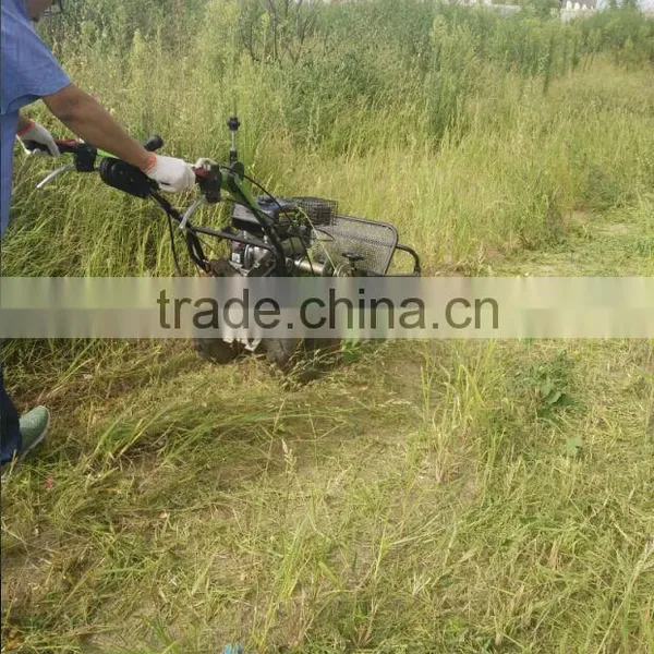 Farm Machine 6.5HP Portable Motor Lawn Mower photo-6