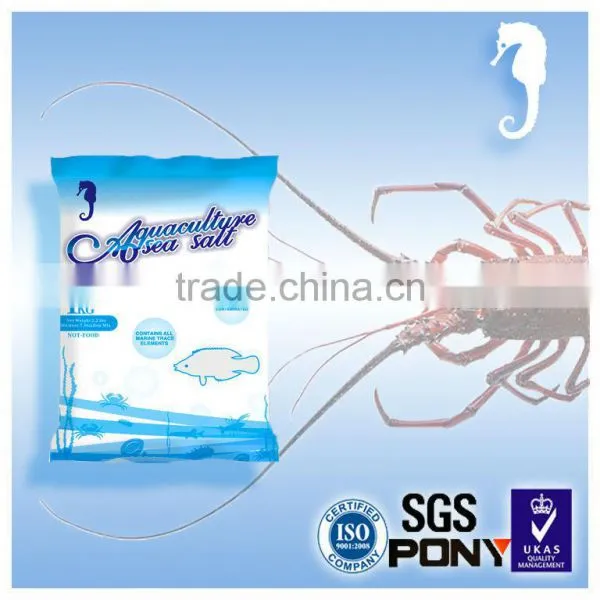 Sea Food Farmed Shrimp