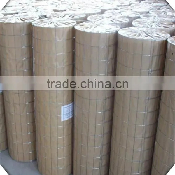 High Quality Galvanized Welded Wire Mesh Roll / 8 Gauge Welded Wire Mesh photo-4