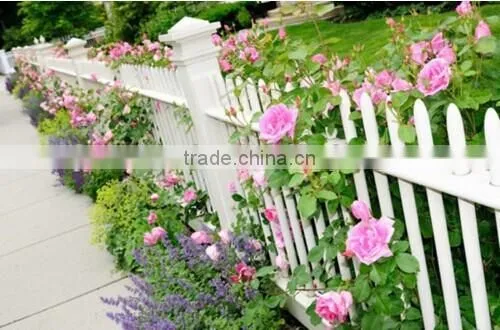Outdoor Wooden Garden Fence photo-2