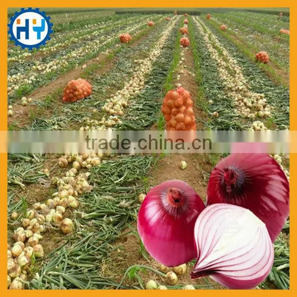 Factory Price Small Seed Drill Machine photo-5