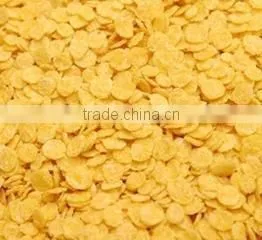Factory in Jinan China Competitive Original Corn Flakes Machine photo-3