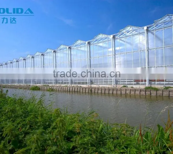 Baolida Greenhouse Restaurant Polycarbonate PC Sheet Multi-span Greenhouse photo-3