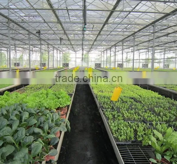 Galvanized Steel Frame Greenhouse photo-2