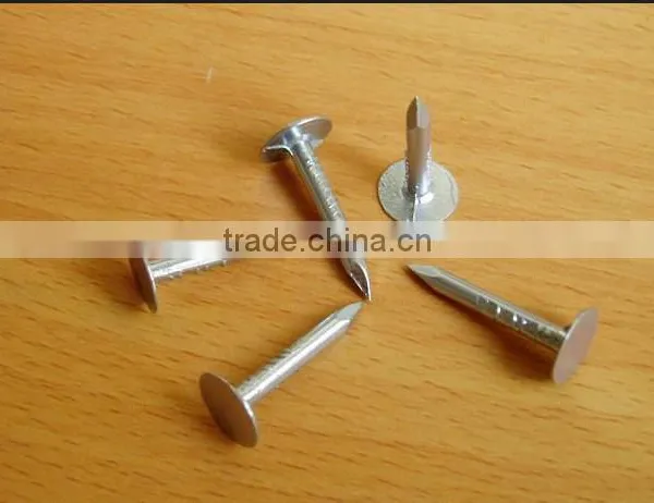 Large Flat Head Clout Nail Roofing Nail for Africa photo-4