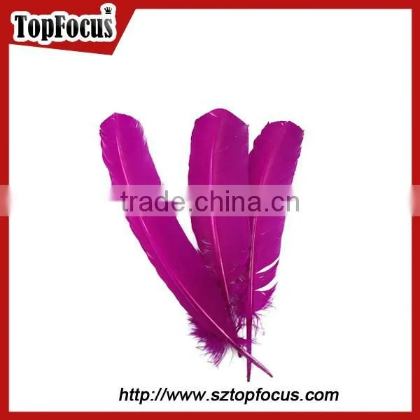 Factory Prices Wholesale Prime Quality Dyed Turkey Wing Feather photo-4