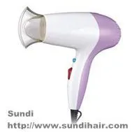 Order and Customized Hair Dryer