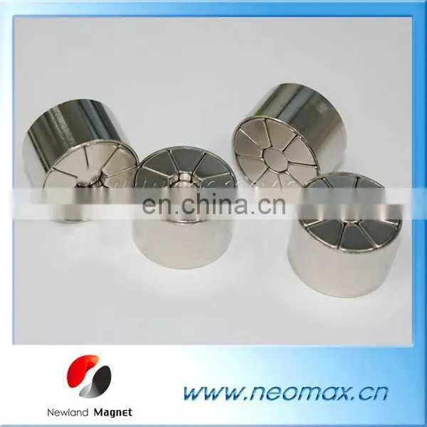 Halbach Array Permanent Magnetic Rotor photo-2
