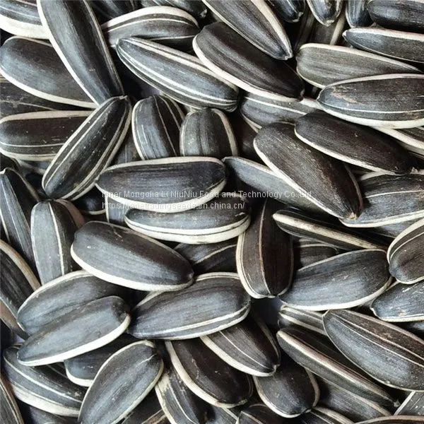 Sunflower Seeds With CIQ,ISO