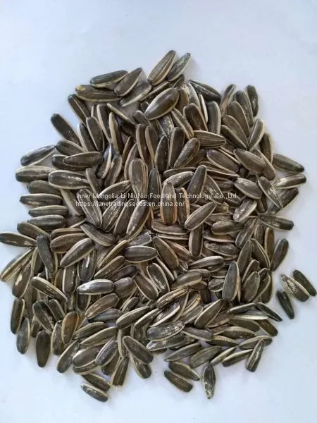Wholesale Raw Sunflower Seeds
