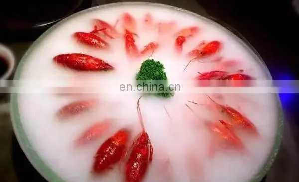 Industrial Dry Ice Cube Pellets Making Machine photo-5