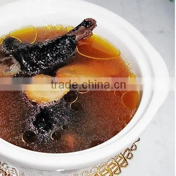 Organic American Panax Ginseng Root Good for Health photo-4