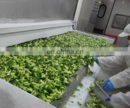 2-4cm 3-5cm 4-6cm Frozen Halal Food IQF Broccoli Cut photo-4