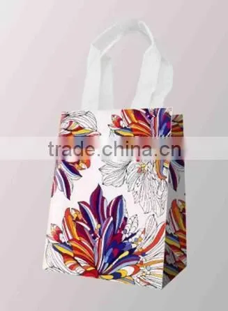 Cloth Handle Gift Bag, Promotion Shopping Bag, Paper Bag
