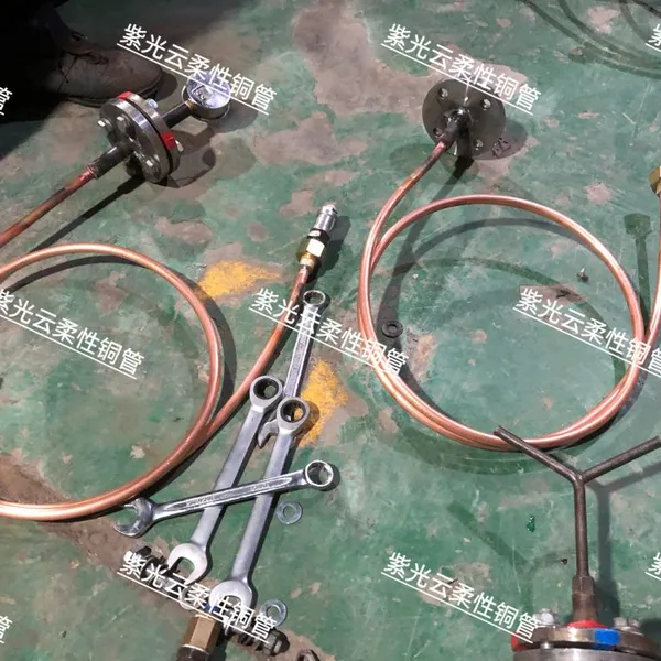 Qf-10 Gas Cylinder Valve ZGY2500 Flexible Connector Isolation Valve Assembly Vacuum Regulator Ejector Ton Container & Scale photo-4