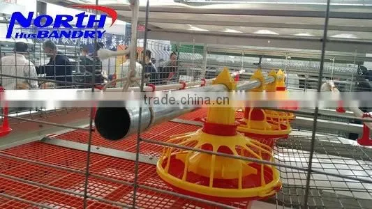 Best Quality Automatic Poultry Feeder and Drinker Poultry Farming Equipment for Sale in UAE photo-3