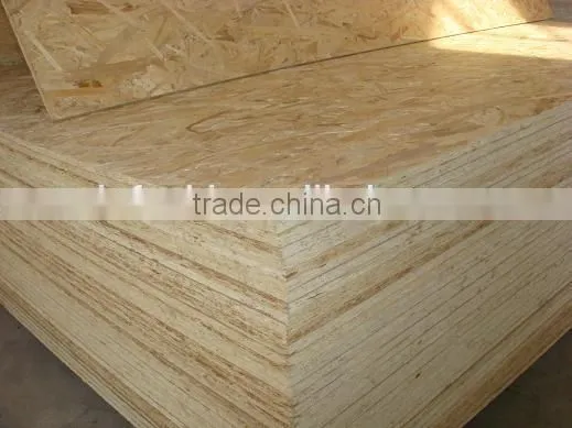 Poplar OSB photo-4