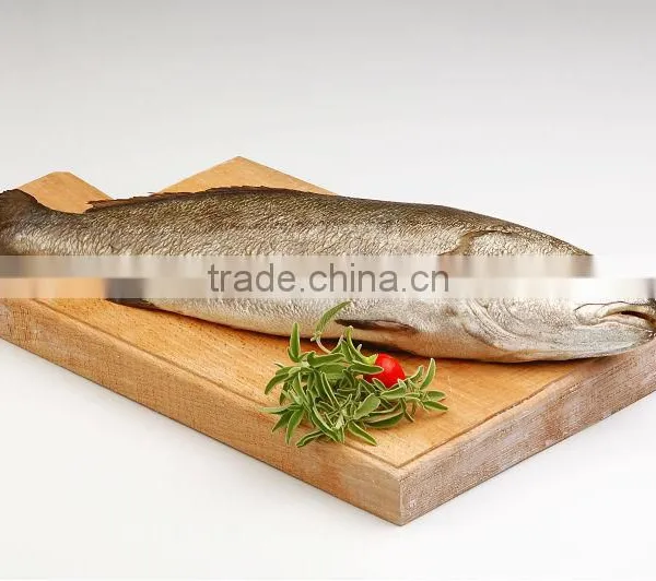 Royal Seabass (Corvina)