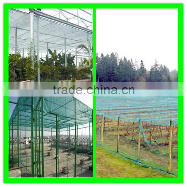 Virgin Hdpe Cultivation Anti-insect Netting photo-6