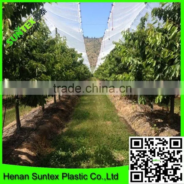 Suntex Virgin PE Clear Protective High Strength Membrane With UV