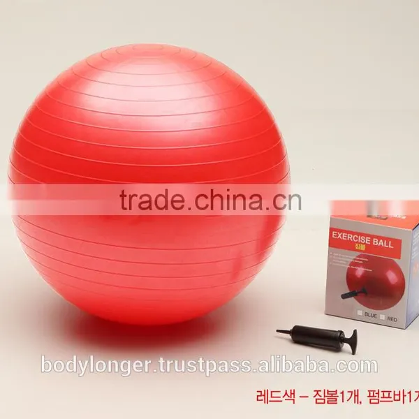 65cm Diameter Gym Ball/ Gym Equipment/ Rack photo-2