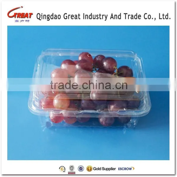 Plastic Fruit Container Fruit Packing Boxes for Blueberry 500 Gram