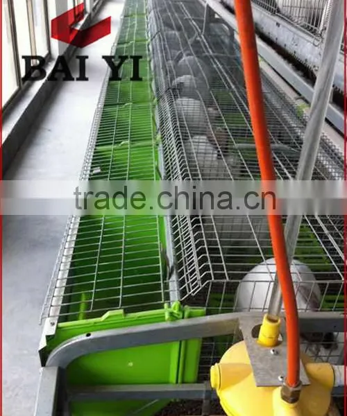 H Type & A Type & Automatic High Quality Wire Mesh Rabbit Cage For Sale photo-4