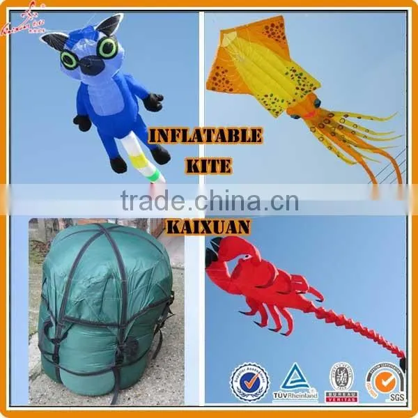 Durable Ripstop Nylon 3D Inflatable Kite photo-5