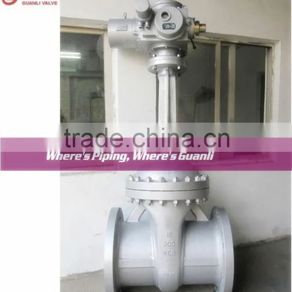 Motorized Gate Valve photo-2