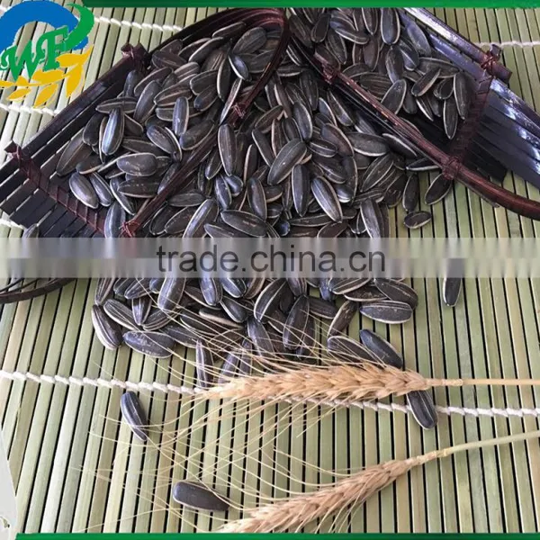 Sunflower Seeds 3638 photo-3