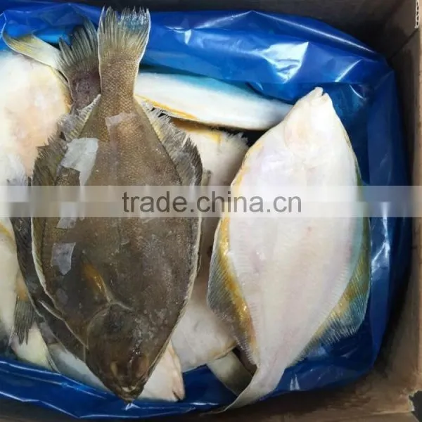 2016 China Top Quality Frozen Gold Plaice 200g-300g photo-2