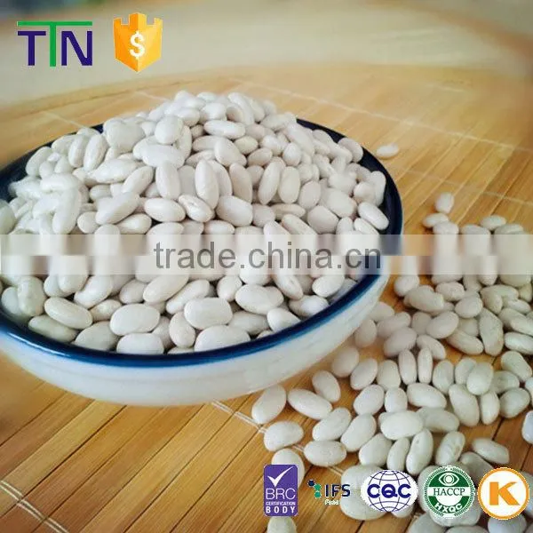 TTN Wholesale Haricot Bean and White Kidney Beans Price photo-4