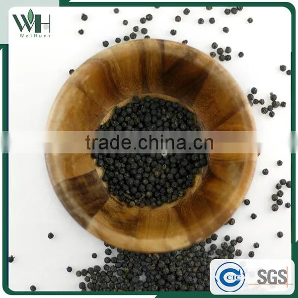 Vietnam Sun Dried Solid Peppercorn 550gl 500gl for Good Black Pepper Oil