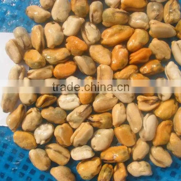 Frozen Mussel Meat photo-2
