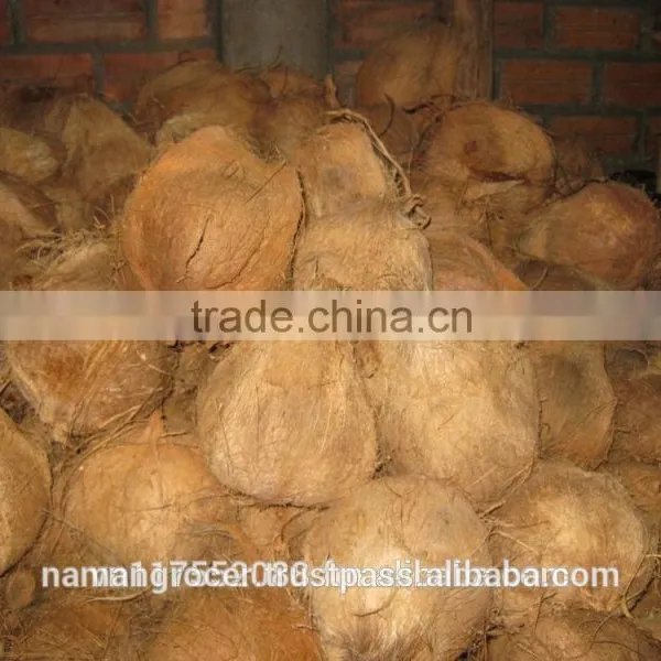 Semi Husked Coconut, Mature Coconut, Fresh Coconut photo-3