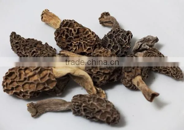 Dryied Morels Dried Morels Mushroom Dried Mochella photo-3