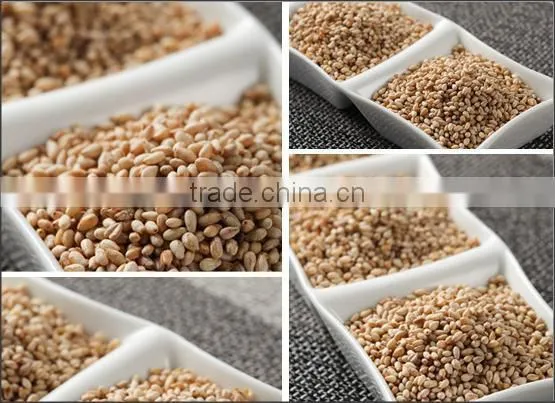 Light Brown Sesame Seeds