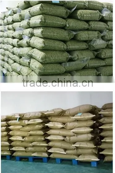 Organic Pumpkin Kernels Grow Without Shell for Oil Use photo-3