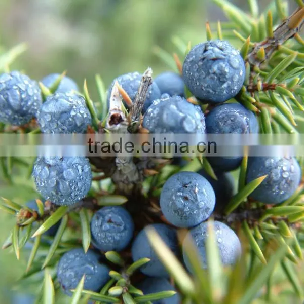 JUNIPERUS FLORAL WATER photo-2