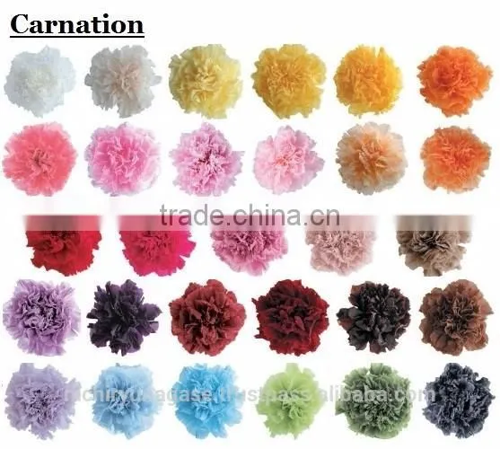 Pretty Hydrangea Preserved Flowers With Various Species photo-4